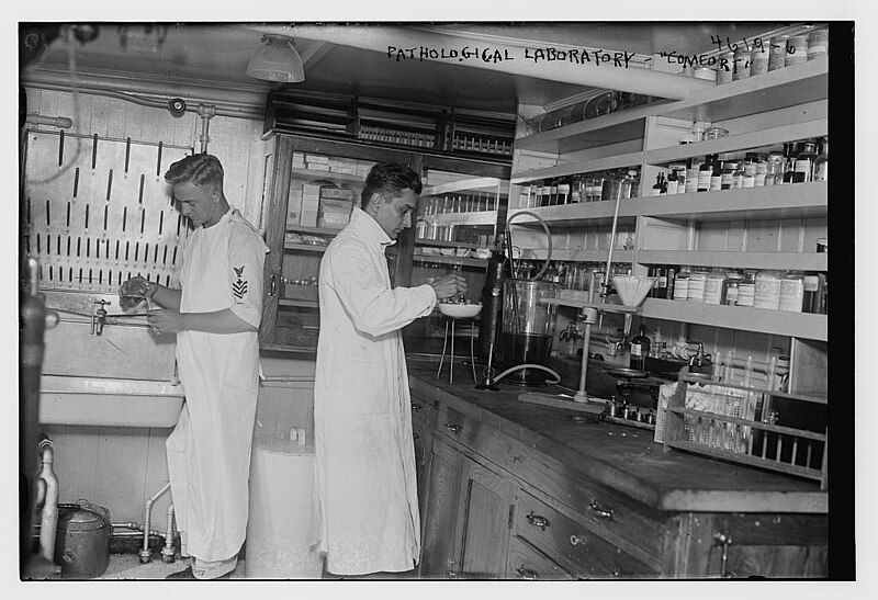File:Pathological laboratory - COMFORT LOC 27510126411.jpg